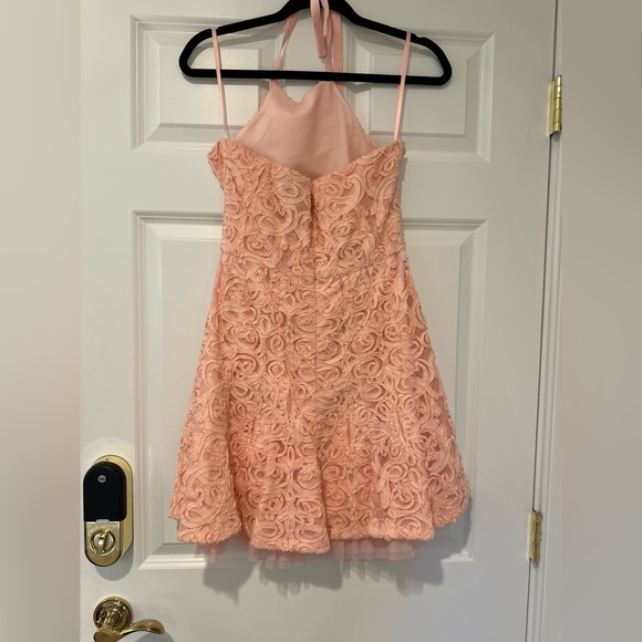 BCBG Max Azria Pink Lace Cocktail Dress - Picture 6 of 6
